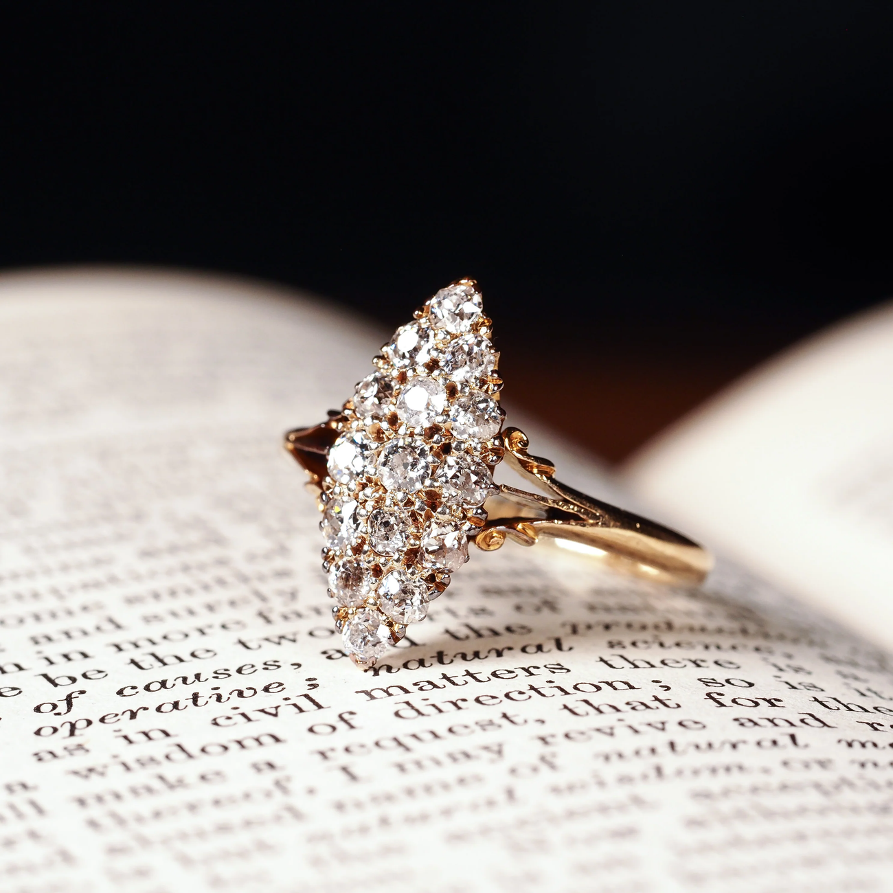 18_5_1300x.png?v=1741562232